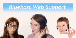 bluehost web support